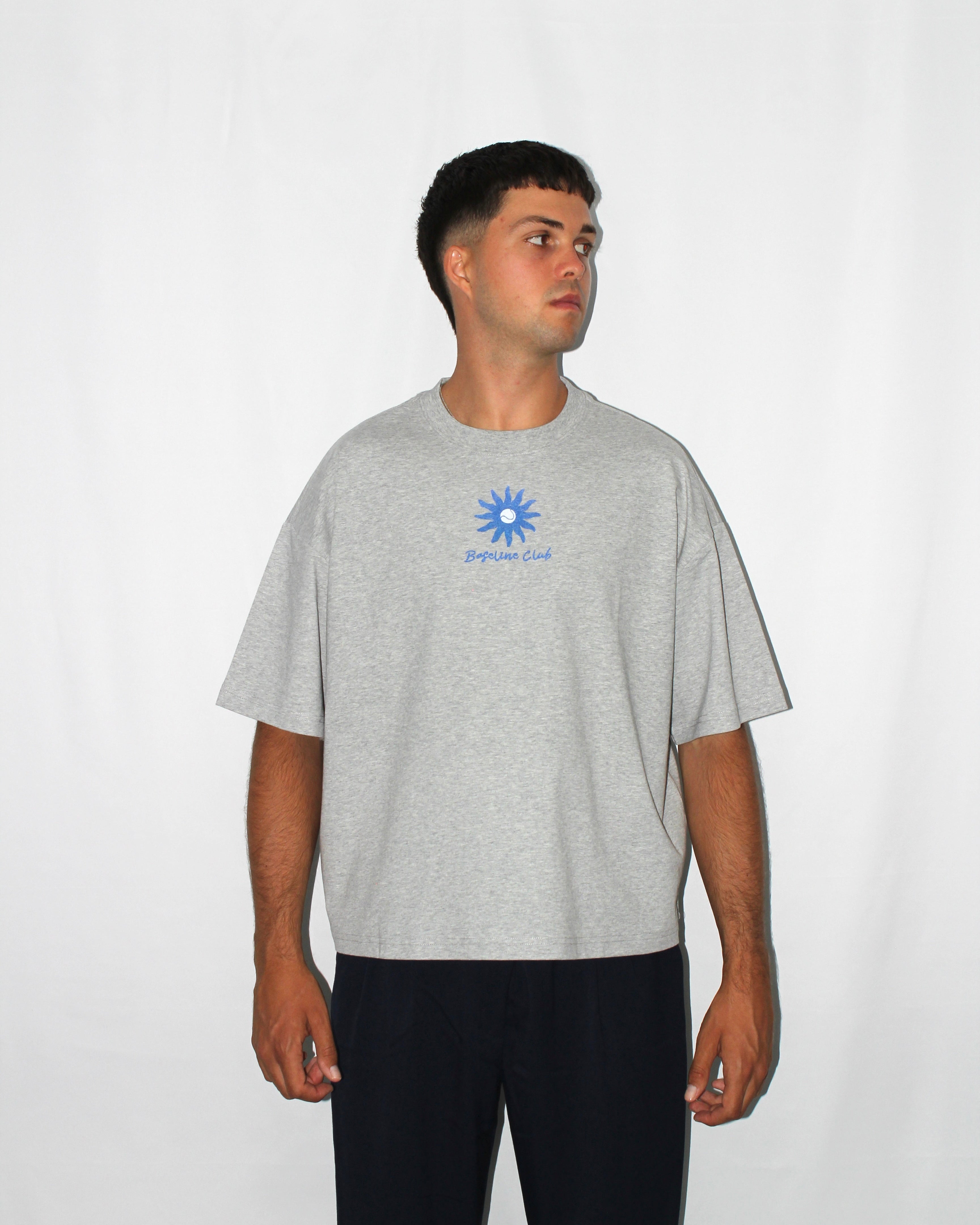 Artist Boxy T-Shirt