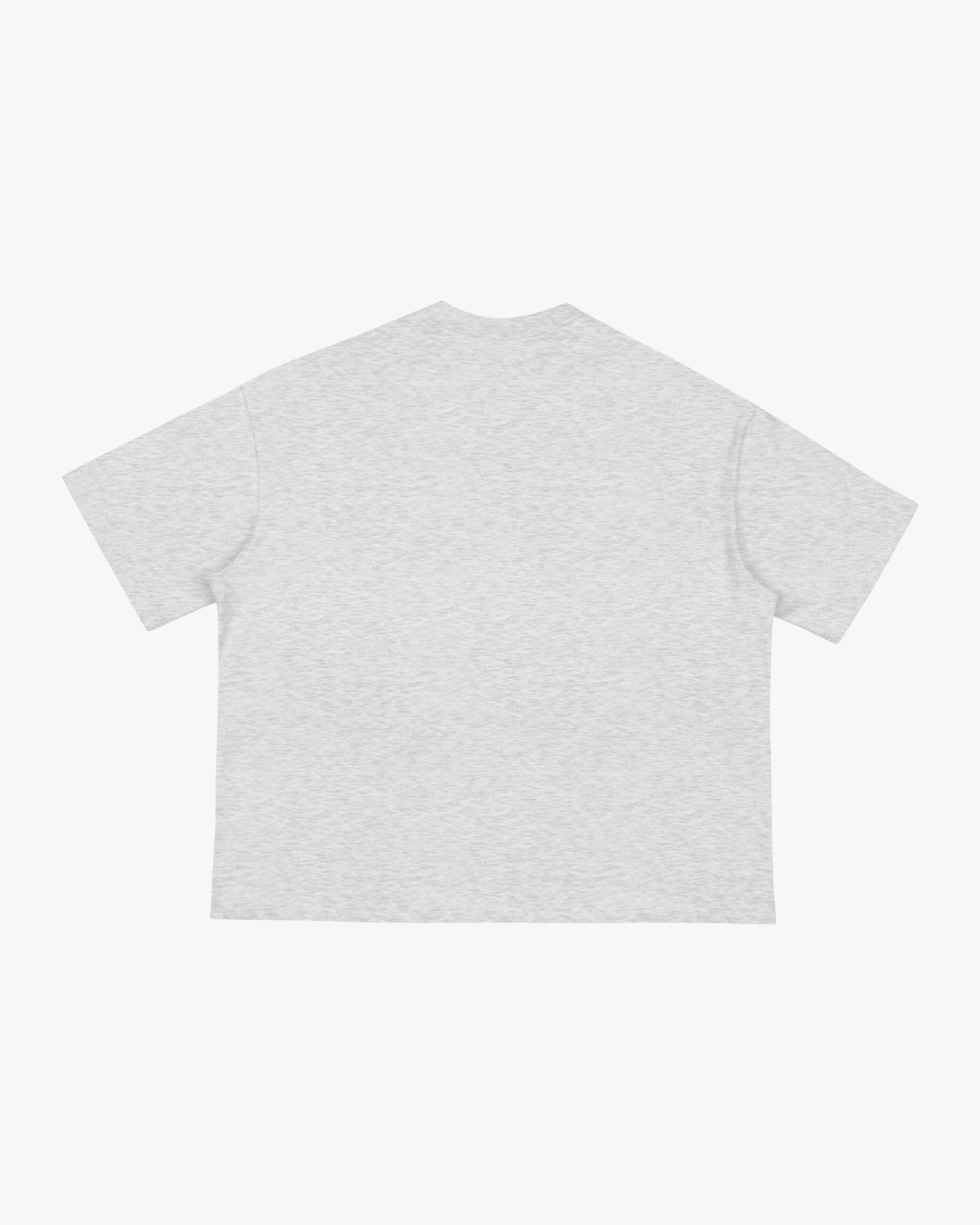 Two Blocks Boxy T-Shirt