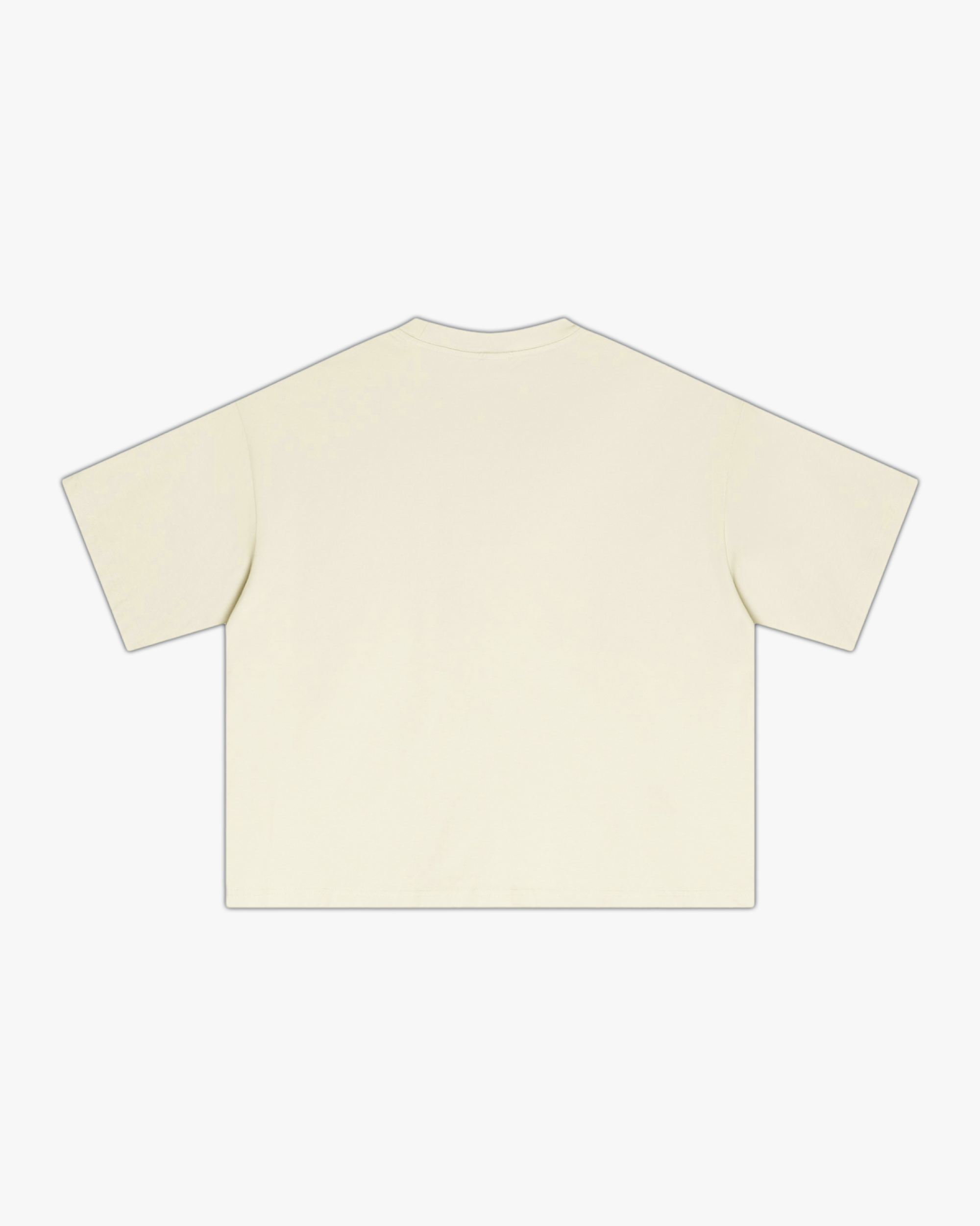 BSLC Boxy T-Shirt