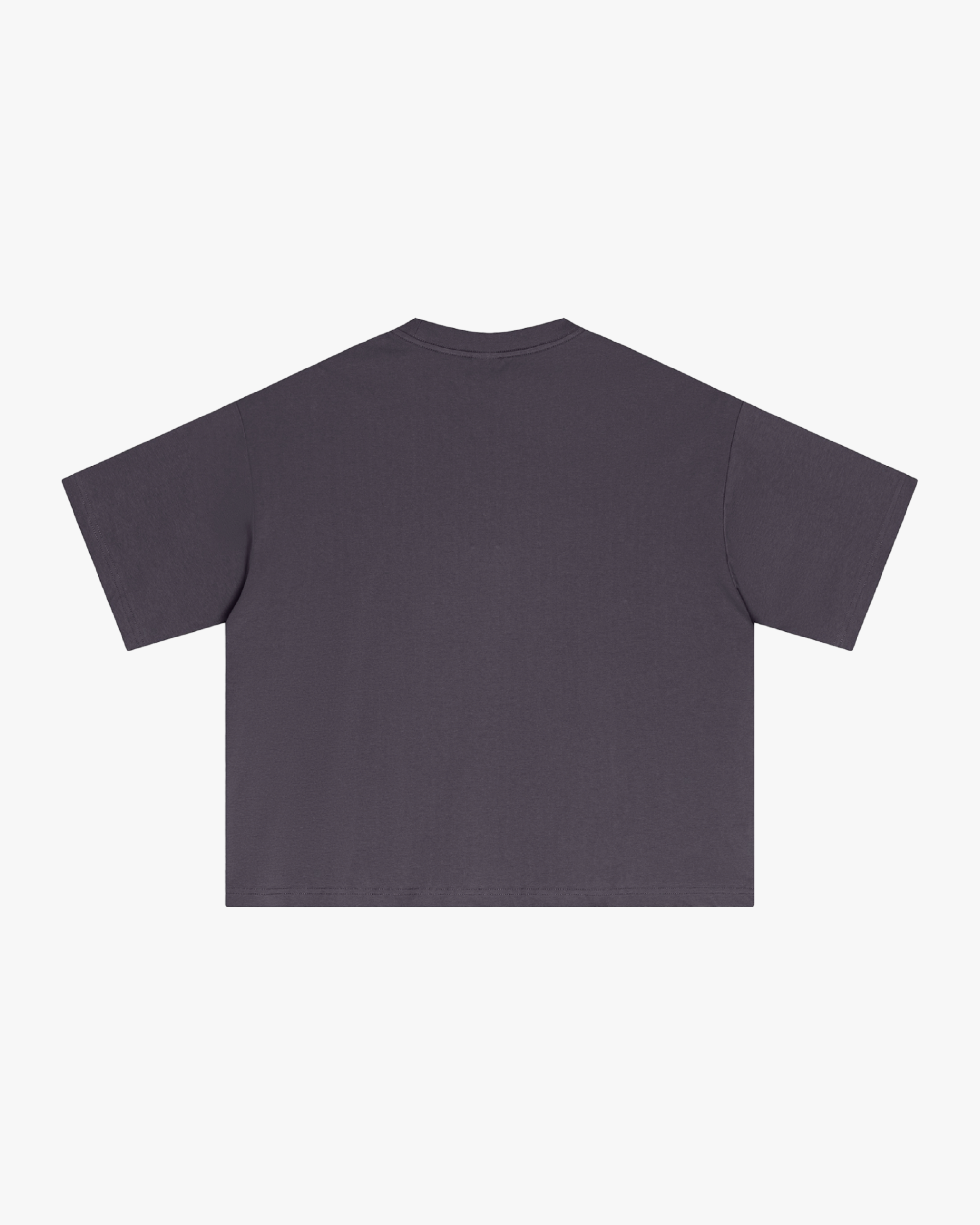 BSLC Boxy T-Shirt